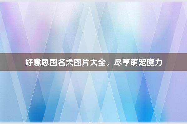 好意思国名犬图片大全，尽享萌宠魔力