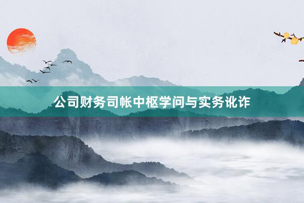 公司财务司帐中枢学问与实务讹诈