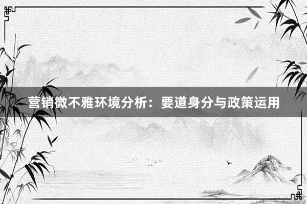 营销微不雅环境分析：要道身分与政策运用
